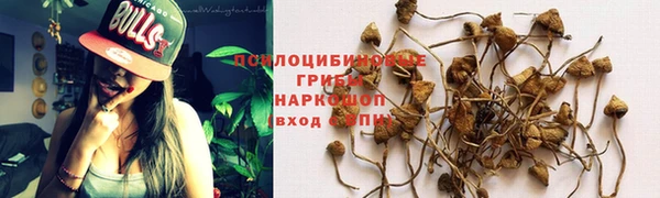 МДПВ Нязепетровск